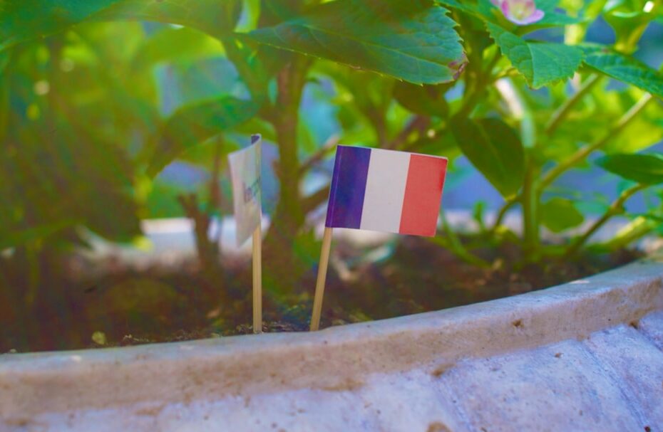 two small flags sticking out of a potted plant